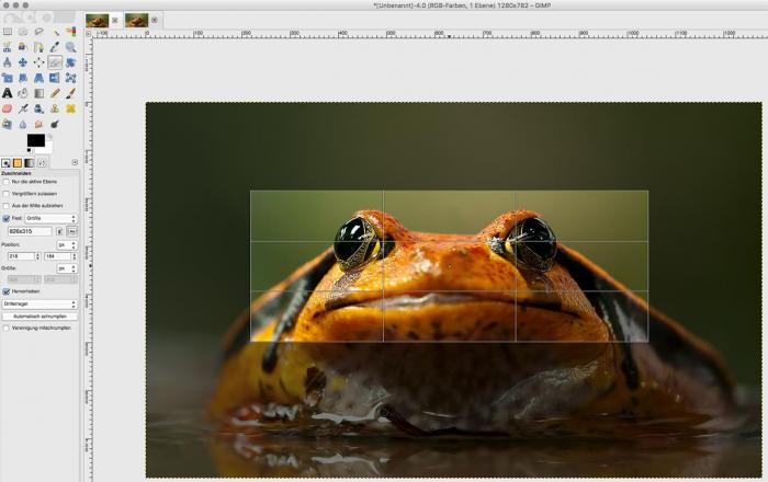 Freistellen mit fester Größe in Gimp