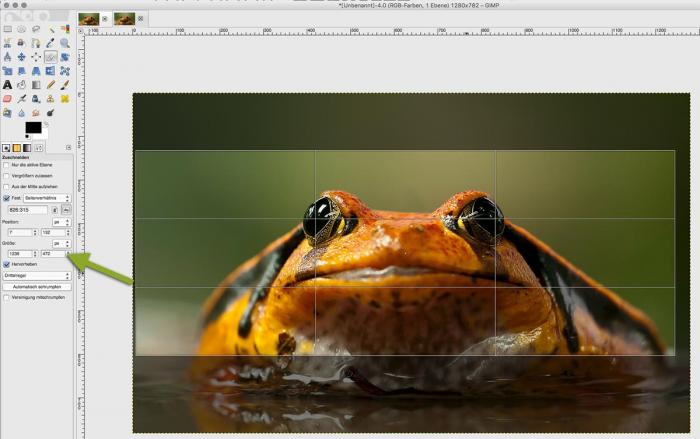 Bilder Zuschneiden Mit Gimp, Photoshop Elements Und Photoshop | Web Und ...